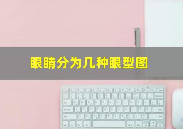 眼睛分为几种眼型图