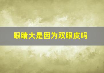 眼睛大是因为双眼皮吗