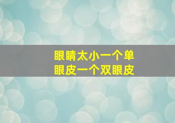 眼睛太小,一个单眼皮一个双眼皮