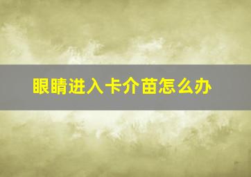 眼睛进入卡介苗怎么办