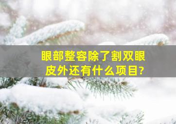 眼部整容除了割双眼皮外还有什么项目?