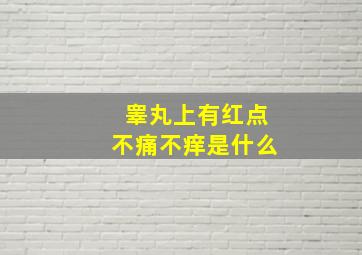 睾丸上有红点不痛不痒是什么