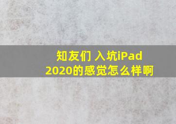 知友们 入坑iPad2020的感觉怎么样啊  