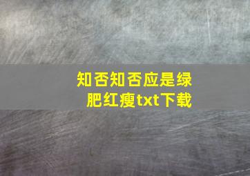 知否知否应是绿肥红瘦txt下载