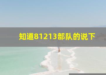 知道81213部队的说下