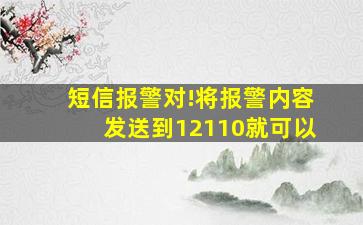 短信报警对!将报警内容发送到12110就可以