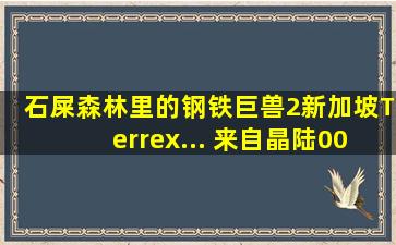 石屎森林里的钢铁巨兽(2)新加坡Terrex... 来自晶陆001 