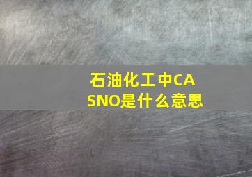 石油化工中CASNO是什么意思