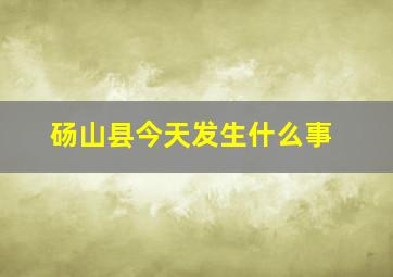 砀山县今天发生什么事