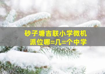 砂子塘吉联小学微机派位哪=几=个中学