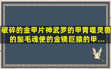 破碎的金甲片、神武罗的甲胄、噬灵兽的鬃毛、魂使的金镜、巨猿的甲...