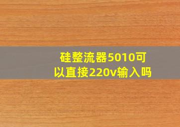 硅整流器5010可以直接220v输入吗