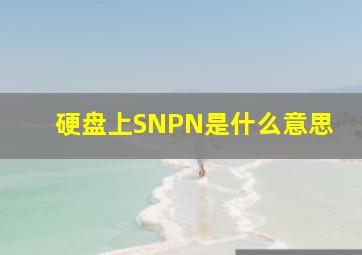 硬盘上SNPN是什么意思