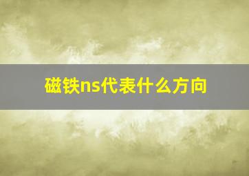 磁铁ns代表什么方向