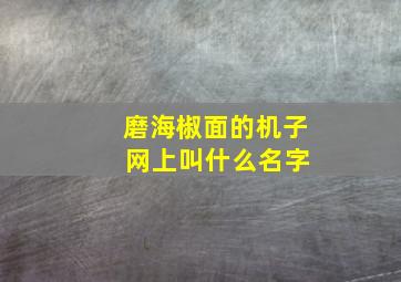 磨海椒面的机子 网上叫什么名字