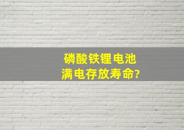 磷酸铁锂电池满电存放寿命?