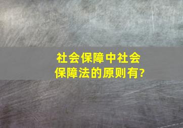 社会保障中社会保障法的原则有?