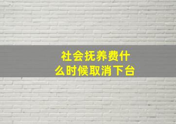 社会抚养费什么时候取消下台