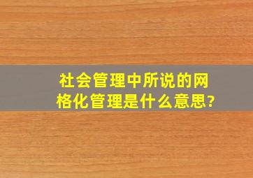 社会管理中所说的网格化管理是什么意思?