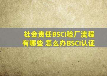 社会责任BSCI验厂流程有哪些 怎么办BSCI认证