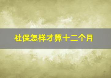 社保怎样才算十二个月