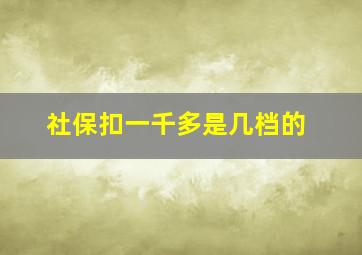 社保扣一千多是几档的