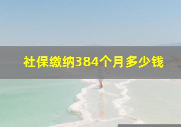 社保缴纳384个月多少钱