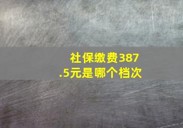 社保缴费387.5元是哪个档次