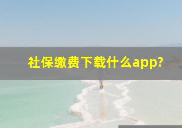 社保缴费下载什么app?