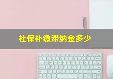 社保补缴滞纳金多少