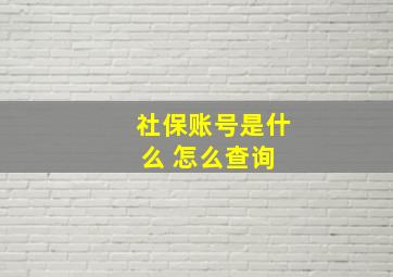 社保账号是什么 怎么查询 