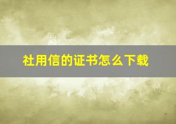 社用信的证书怎么下载