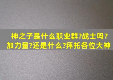 神之子是什么职业群?(战士吗?)加力量?还是什么?拜托各位大神