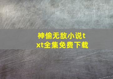 神偷无敌小说txt全集免费下载