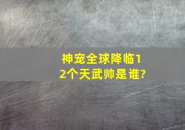 神宠全球降临12个天武帅是谁?