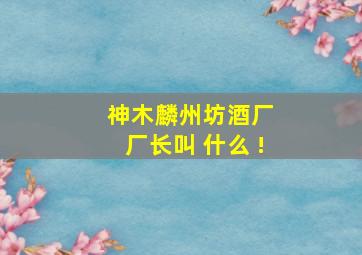 神木麟州坊酒厂 厂长叫 什么 !