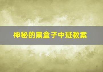 神秘的黑盒子中班教案