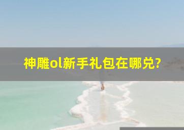 神雕ol新手礼包在哪兑?