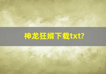 神龙狂婿下载txt?