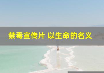 禁毒宣传片 《以生命的名义》