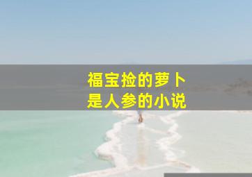 福宝捡的萝卜是人参的小说