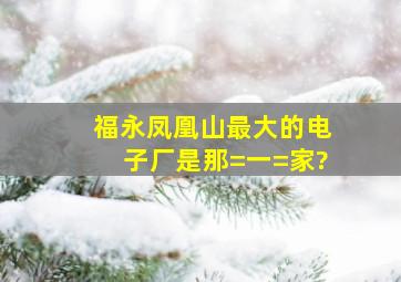 福永凤凰山最大的电子厂是那=一=家?