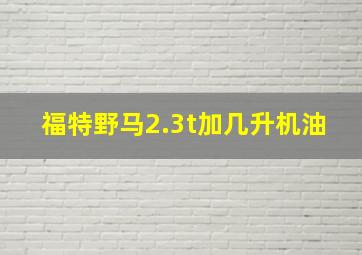 福特野马2.3t加几升机油