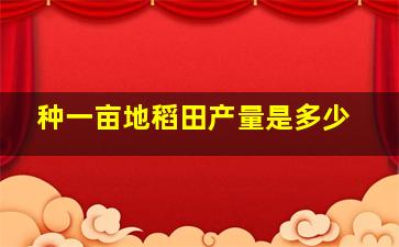 种一亩地稻田产量是多少