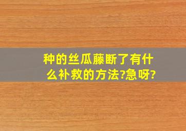 种的丝瓜藤断了,有什么补救的方法?急呀?