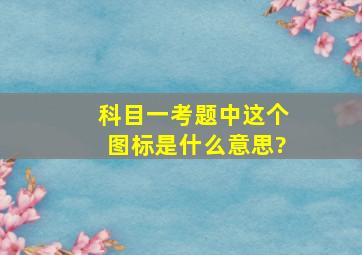 科目一考题中这个图标是什么意思?