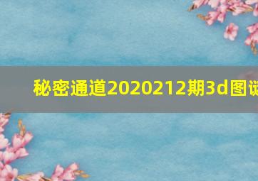 秘密通道2020212期3d图谜