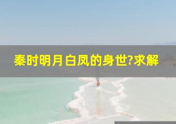 秦时明月白凤的身世?求解