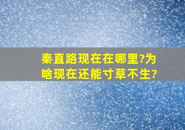 秦直路现在在哪里?为啥现在还能寸草不生?