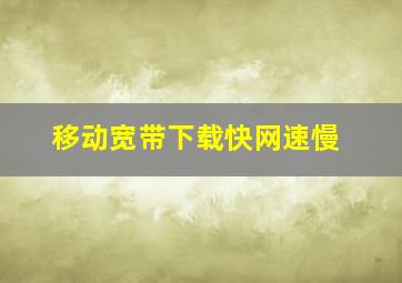 移动宽带下载快网速慢